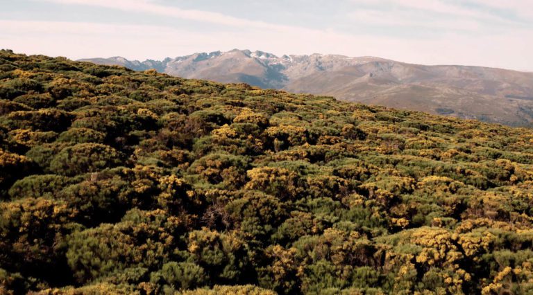 Fotografia del entorno de la Sierra de Gredos donde escuchar el silencio y disfrutar del movimiento slow